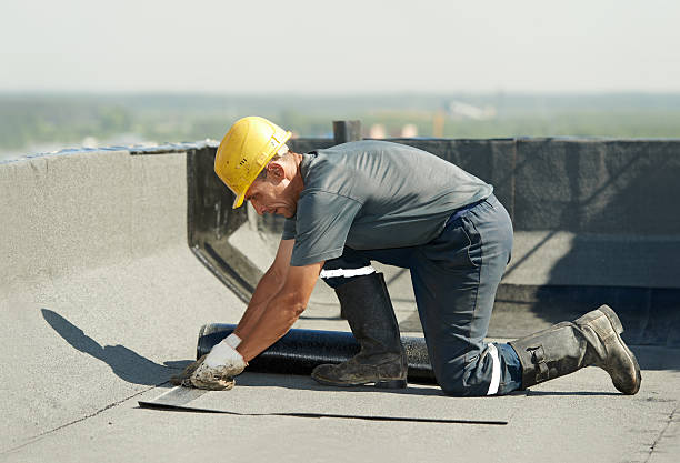 Best Insulation Maintenance and Repair in Sells, AZ